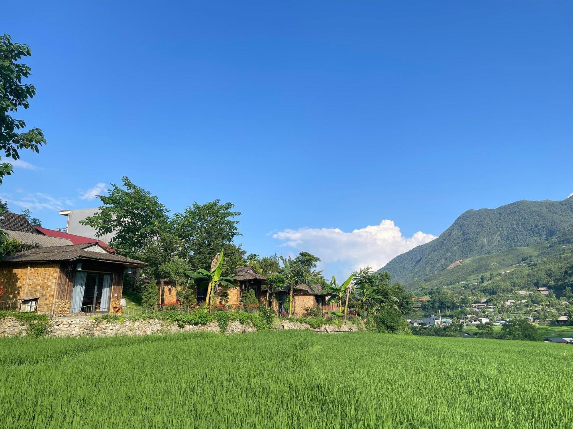 Sapa Bamboo Eco Pensionat Eksteriør billede