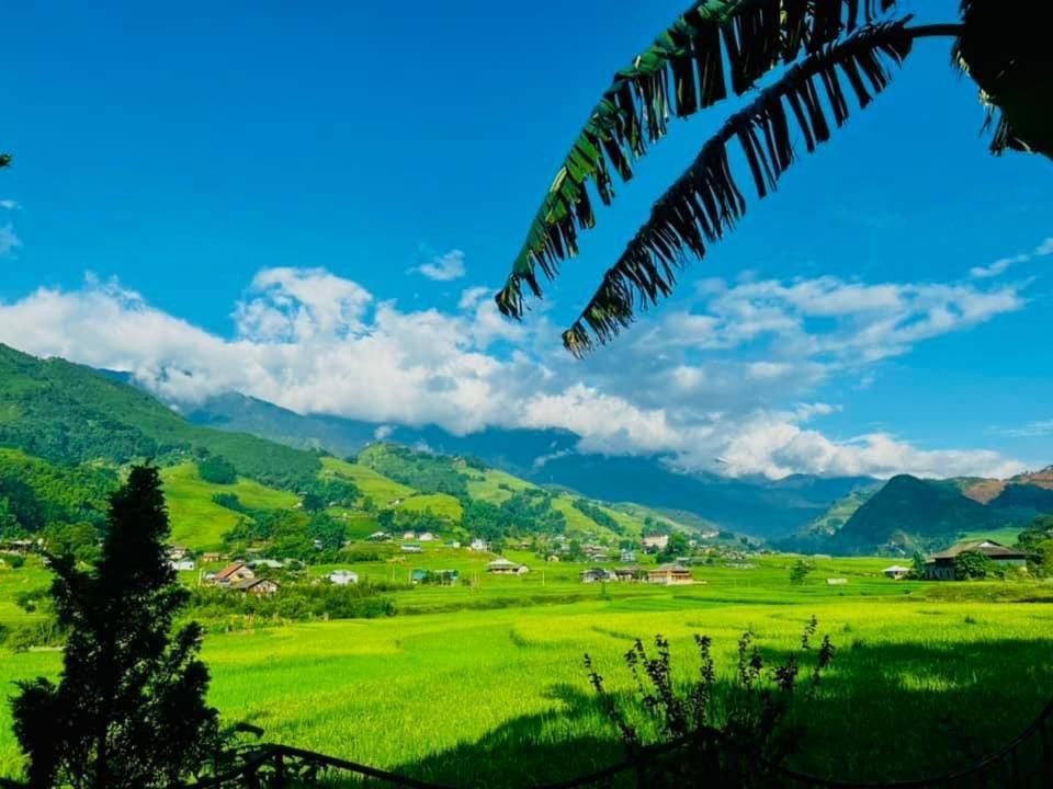 Sapa Bamboo Eco Pensionat Eksteriør billede